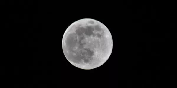 Gernika (Iñaki Zenigaonaindia)