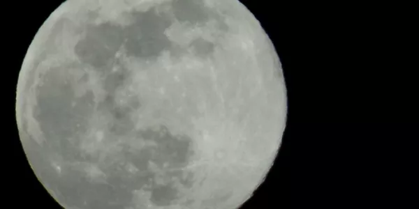 Ibarra (Esther Navas)