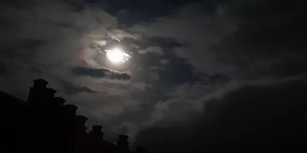 Alsasua (Esther Larrioin)