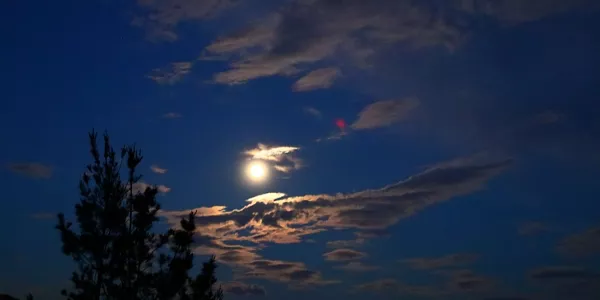 Iurreta (Txaro Ortiz de Zárate)