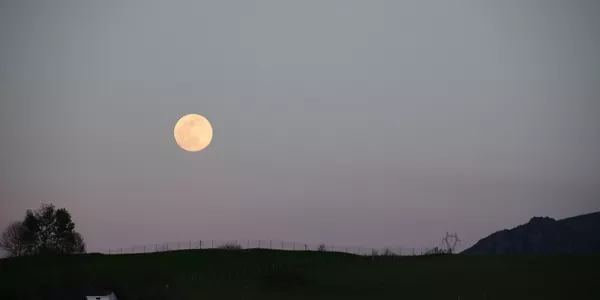 Irun (Cristina Arrieta)