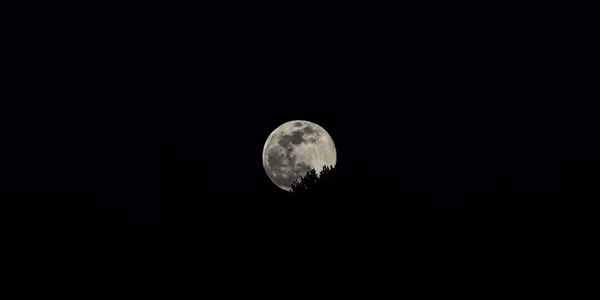 Arrigorriaga (José Antonio Arana)