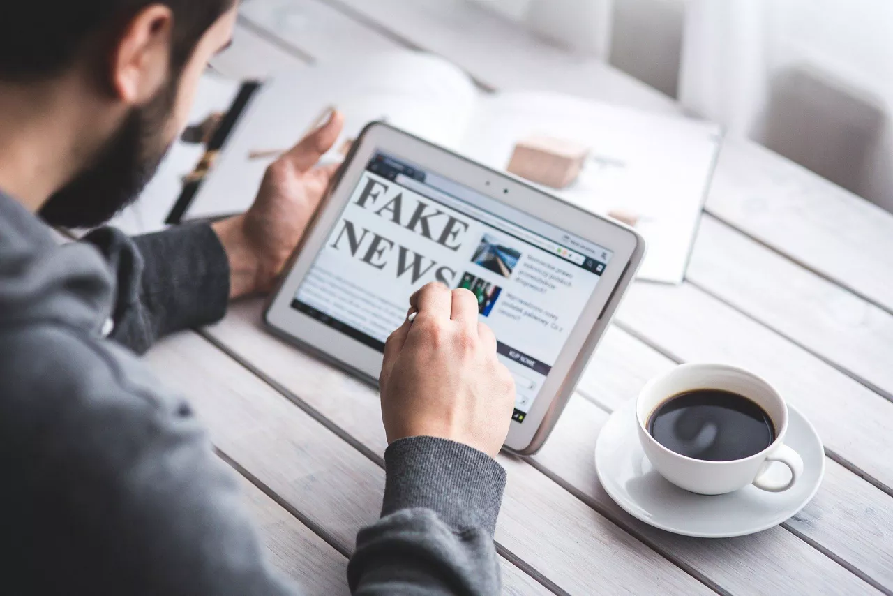 FAKE NEWS PIXABAY MEMYSELFANEYE