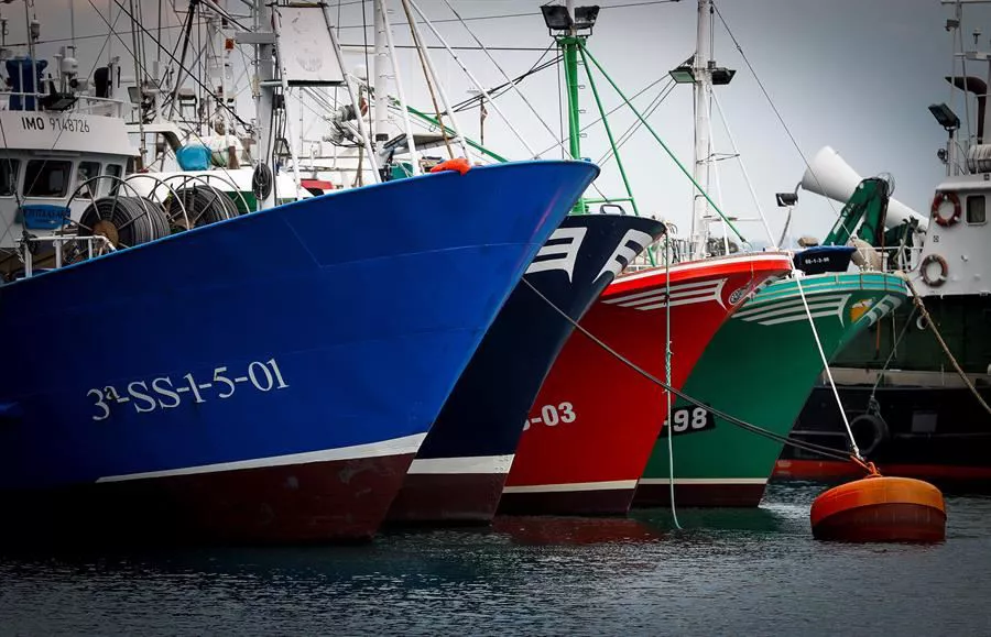 Flota de bajura en el puerto de Hondarribia