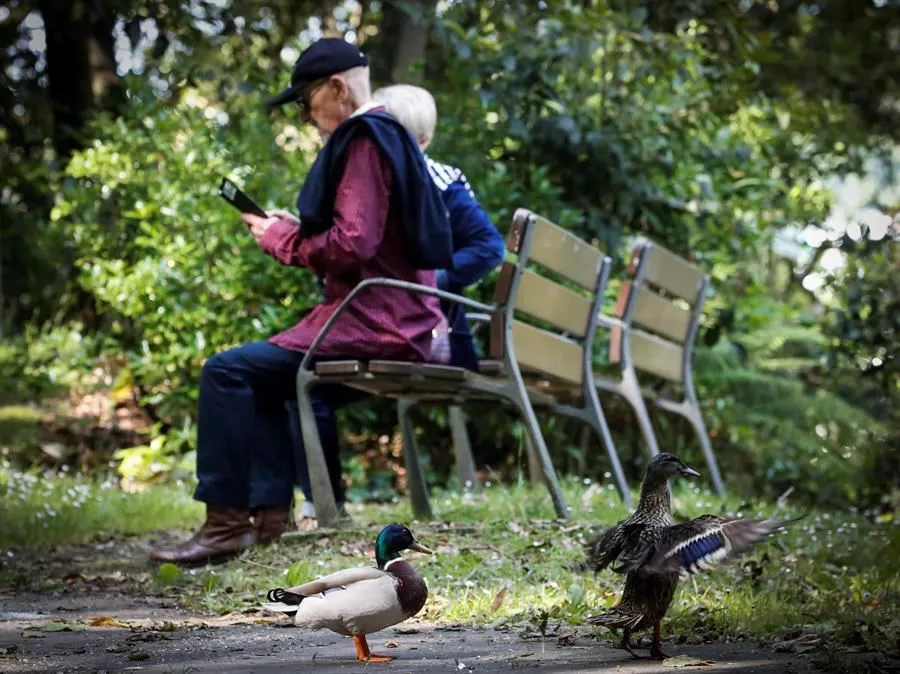 Las pensiones subirán un 8,5 % en 2023. Foto de archivo: EFE