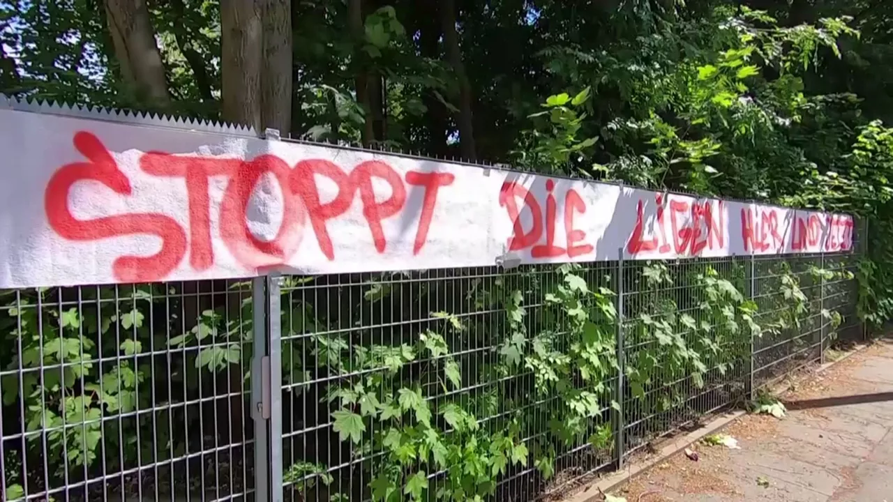 20200517215232_colonia_