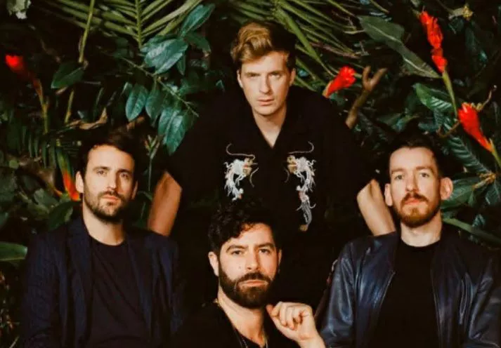 Foals