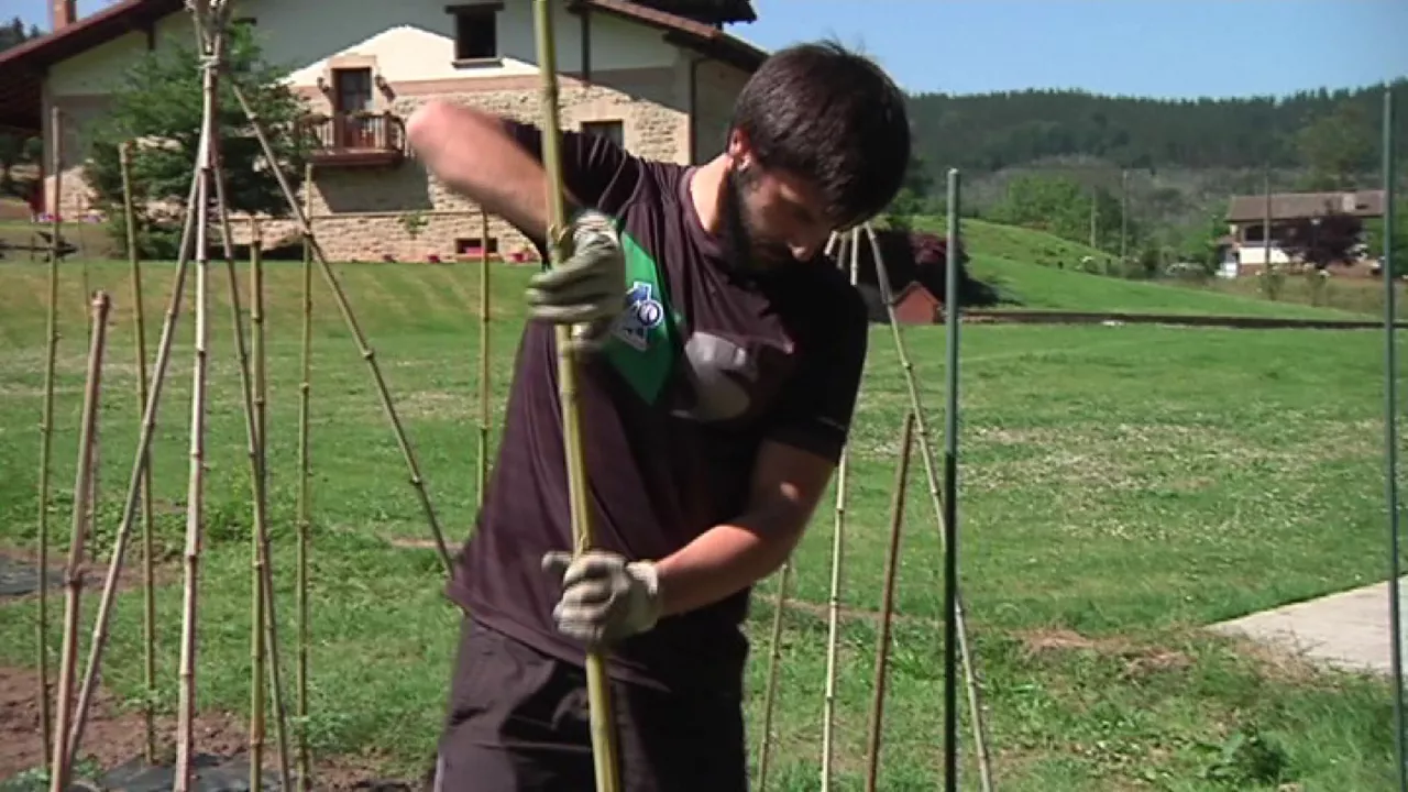 20200528133916_danel-elezkano_