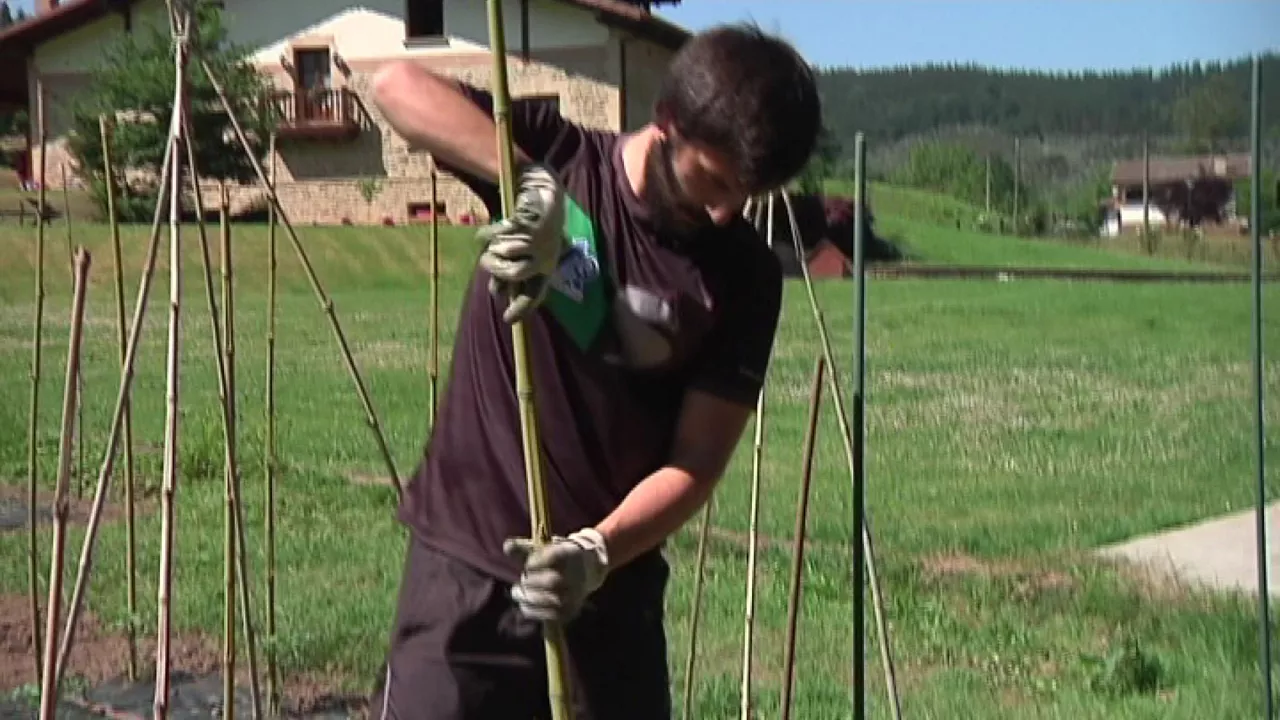 20200528135315_danel-elezkano_