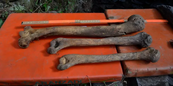 Aurkitutako hezurrak. Argazkia: Rafa Zubiria.