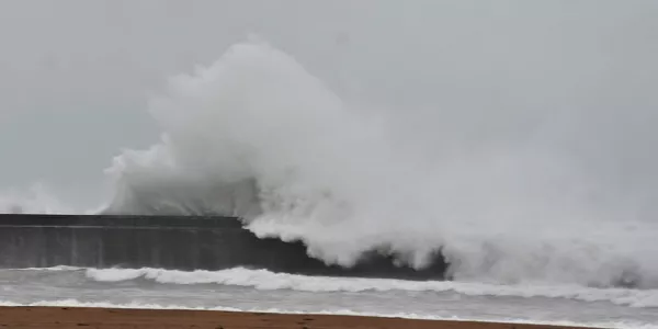 Plentzia. Iñaki Arteta.