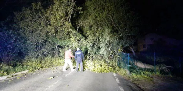 Zeberio (Zeberioko Udala)