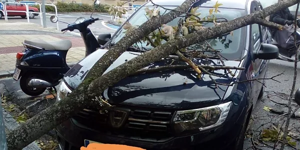 Iruñea (@PamplonaIrunaPM)