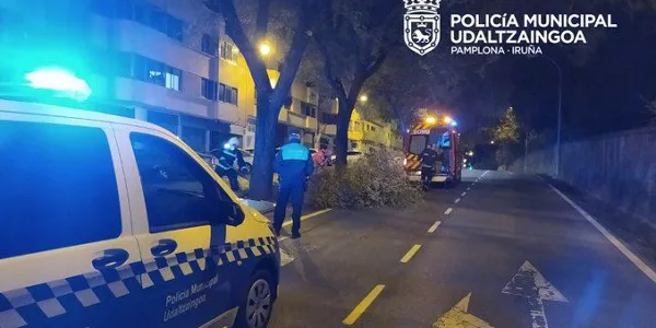 Iruñea (@PamplonaIrunaPM)