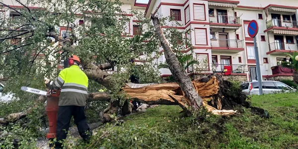 Legazpi (Aitor Agirrezabal)