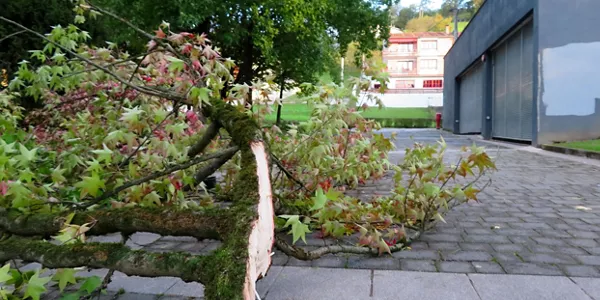 Beasain (Lazaro Gonzalez)