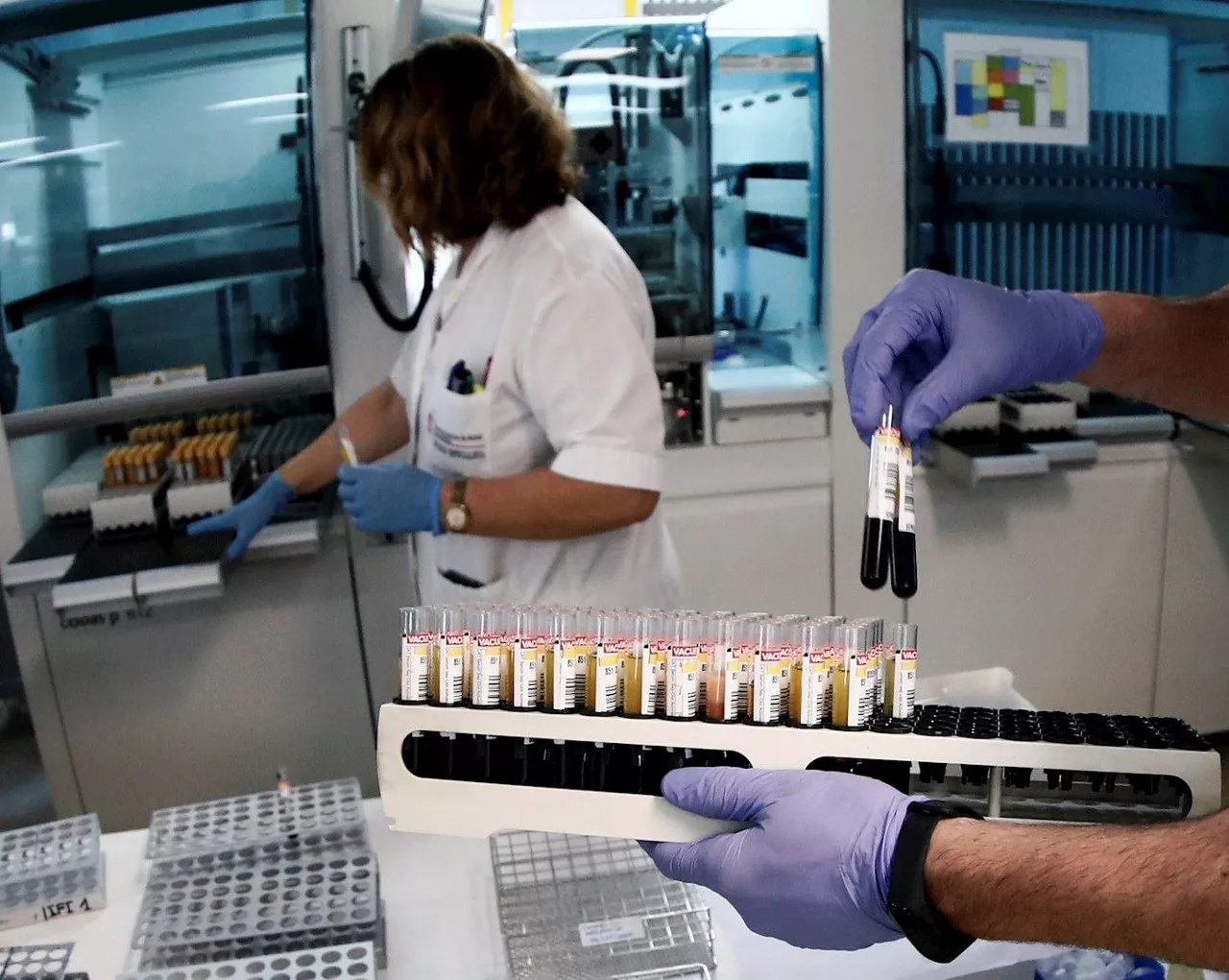 Personal de laboratorio realiza pruebas PCR.