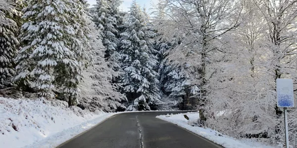 Nieve en Opakua. Foto: Zazpi Oreitia