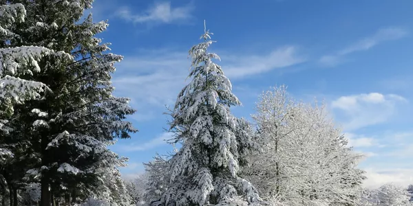 Nieve en Opakua. Foto: Zazpi Oreitia