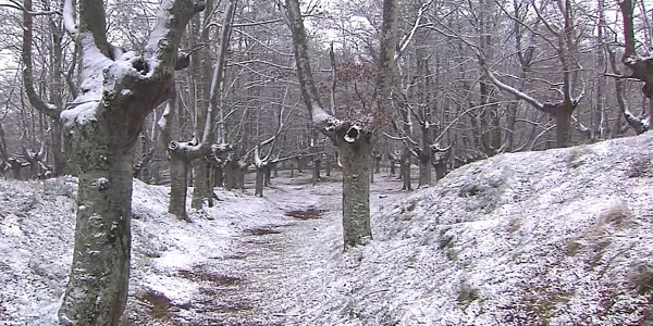 Nieve. Foto: EITB