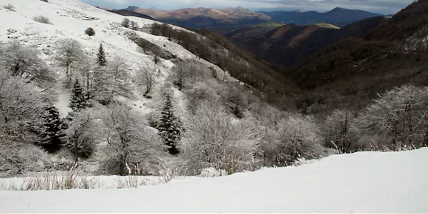 Nieve en Baztan. Foto: Olaia Mendiburu