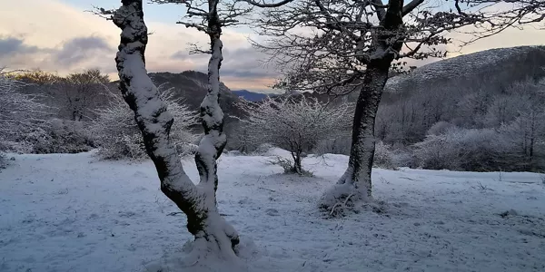 Nieve en Belate. Foto: Iosu Alonso