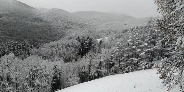 Nieve en Ezkurra. Foto: Luis Dadebat