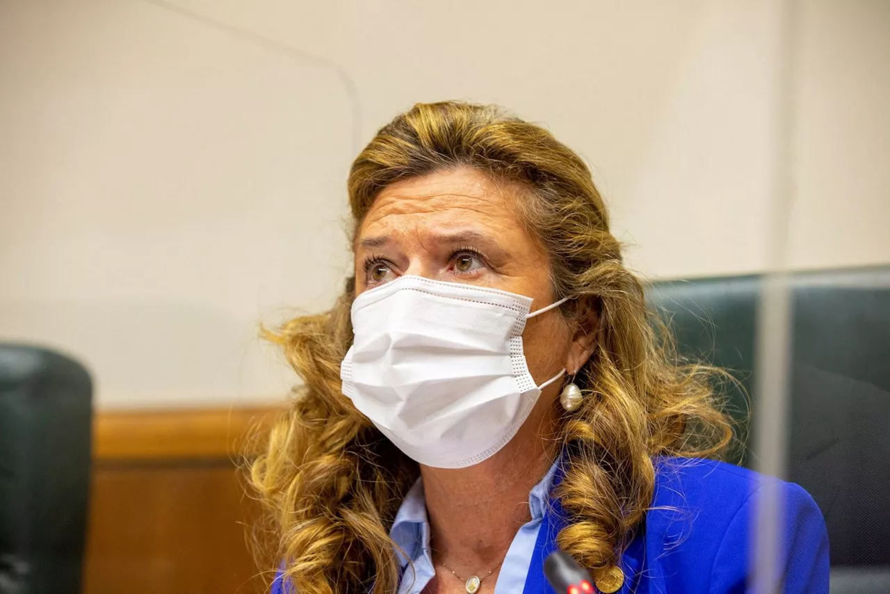 Gotzone Sagardui Osasun sailburua, Eusko Legebiltzarrean