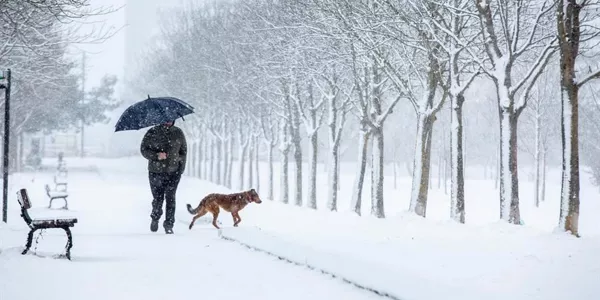 Vitoria-Gasteiz. Foto: EFE