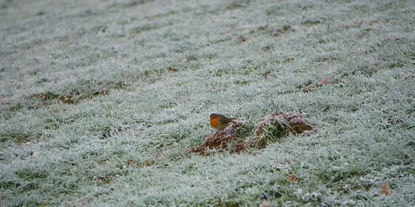 Andoain (Imanol Fernández)