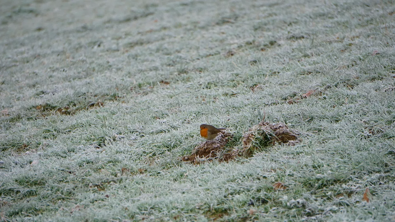 Andoain (Imanol Fernández)