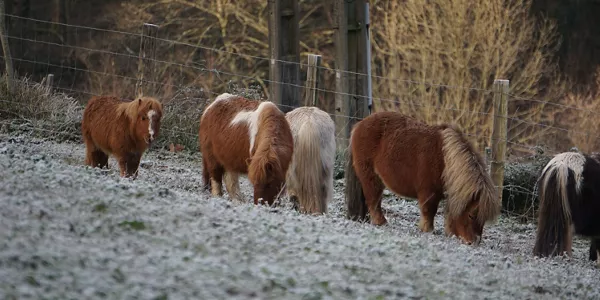 Andoain (Imanol Fernández)