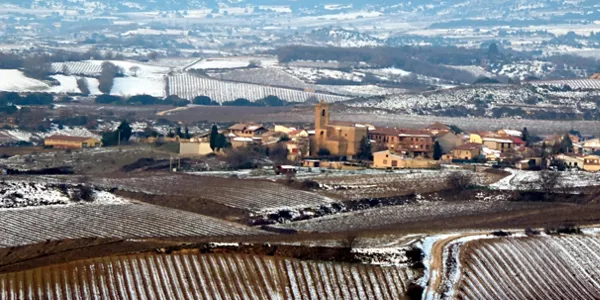 Navaridas (Miguel Ángel López de la Calle)