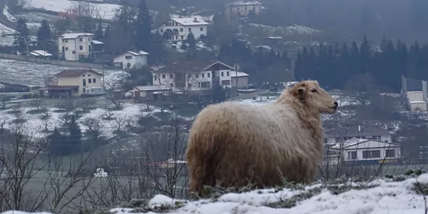 Oñati (Koldo Medrano)