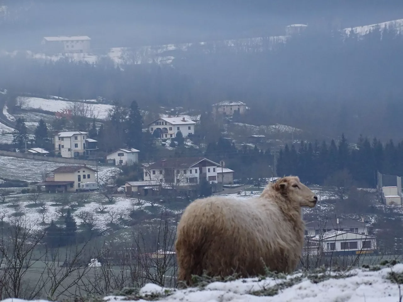 Oñati (Koldo Medrano)