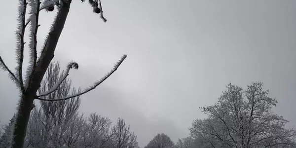 Vitoria (Joseba Ortíz de Luzuriaga)