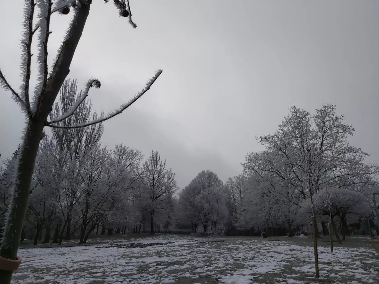 Vitoria (Joseba Ortíz de Luzuriaga)