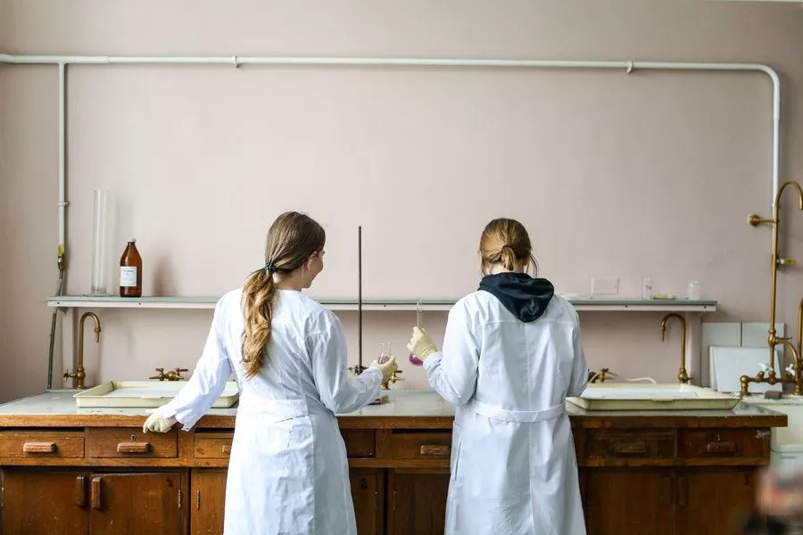 Foto: Polina/Pexels