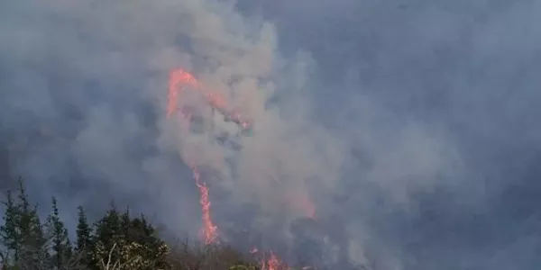 Foto: Bomberos de Bera (Navarra)