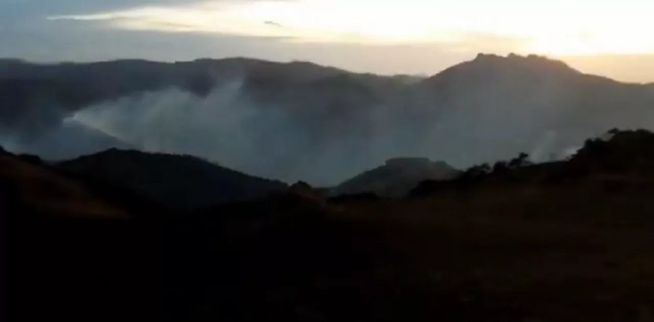 Foto: Policía Foral de Navarra