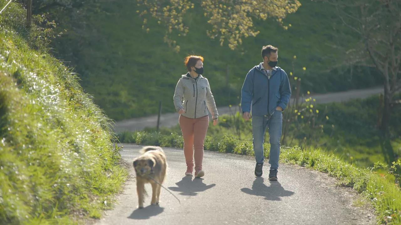 9.800 pausok dementzia arriskua % 50 murrizten dute. EITB Mediaren bideo batetik hartutako argazkia.