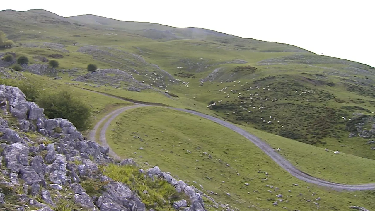 Aralar