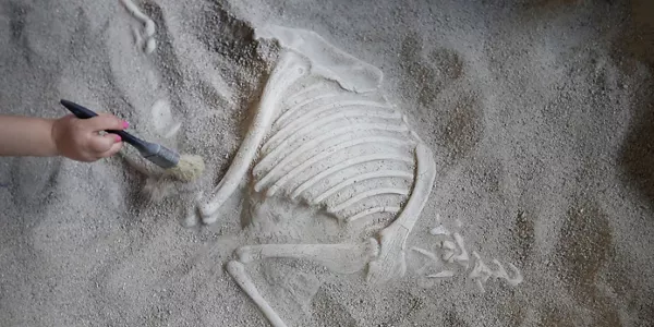'Dinosaurs Tour' en Refena. Foto: EFE