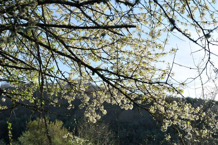 Una imagen de la primavera pasada.
