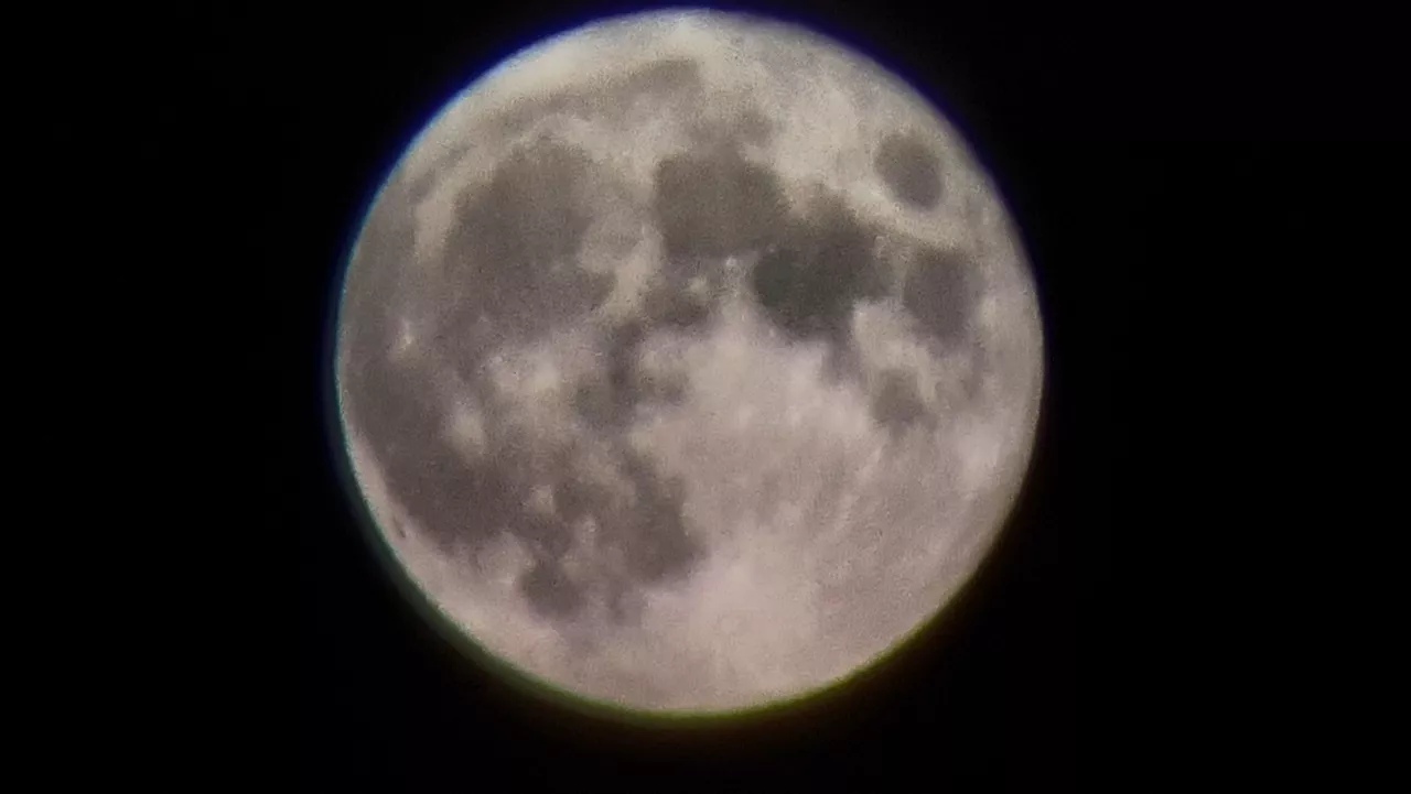 Zumarraga (Alberto Martín)