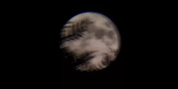 Zumarraga (Alberto Martín)