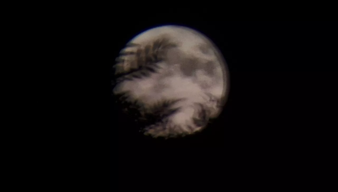 Zumarraga (Alberto Martín)