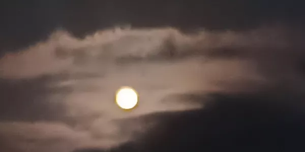 Muskiz (Nuria Sánchez)