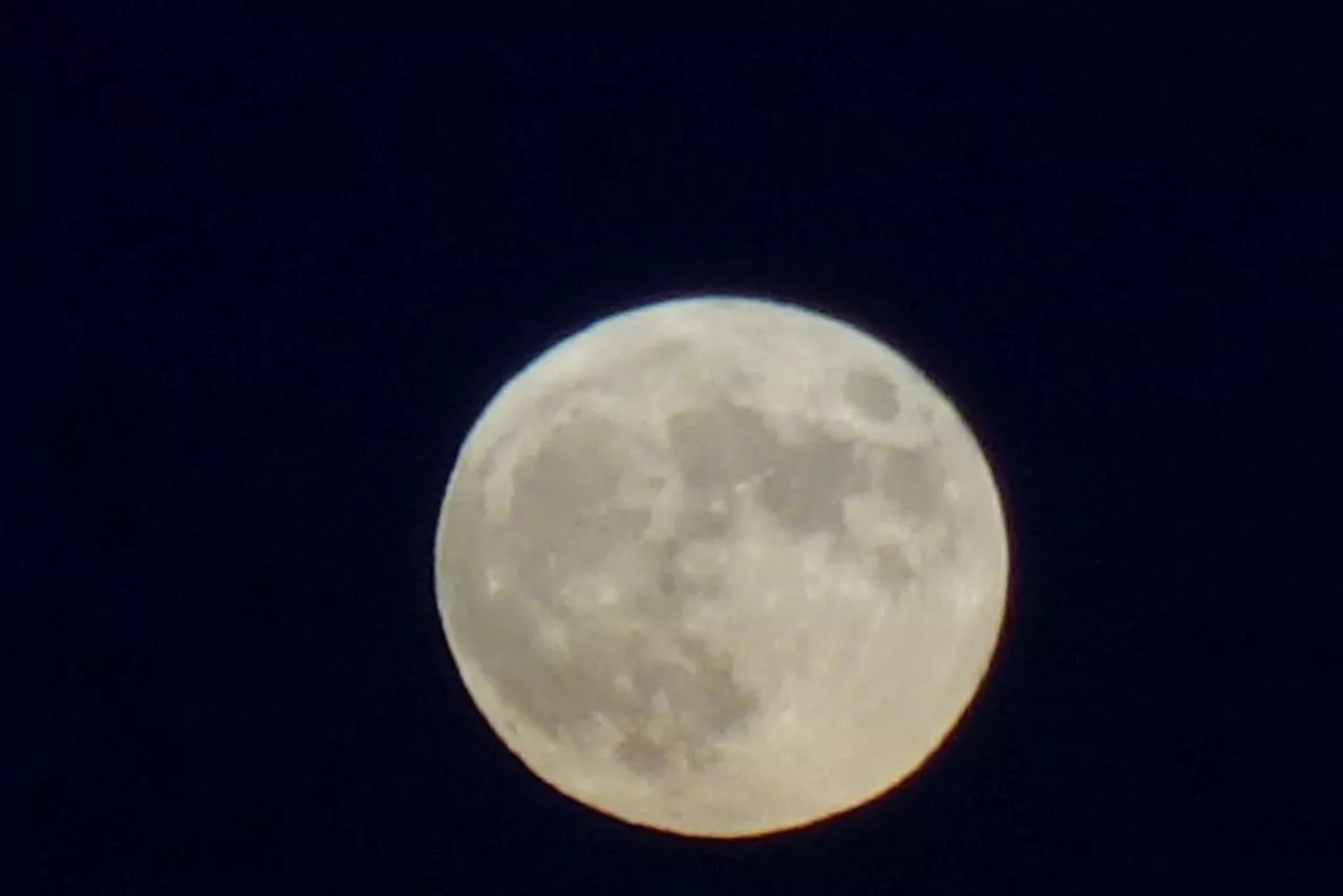 Iurreta (Txaro Ortíz de Zárate)