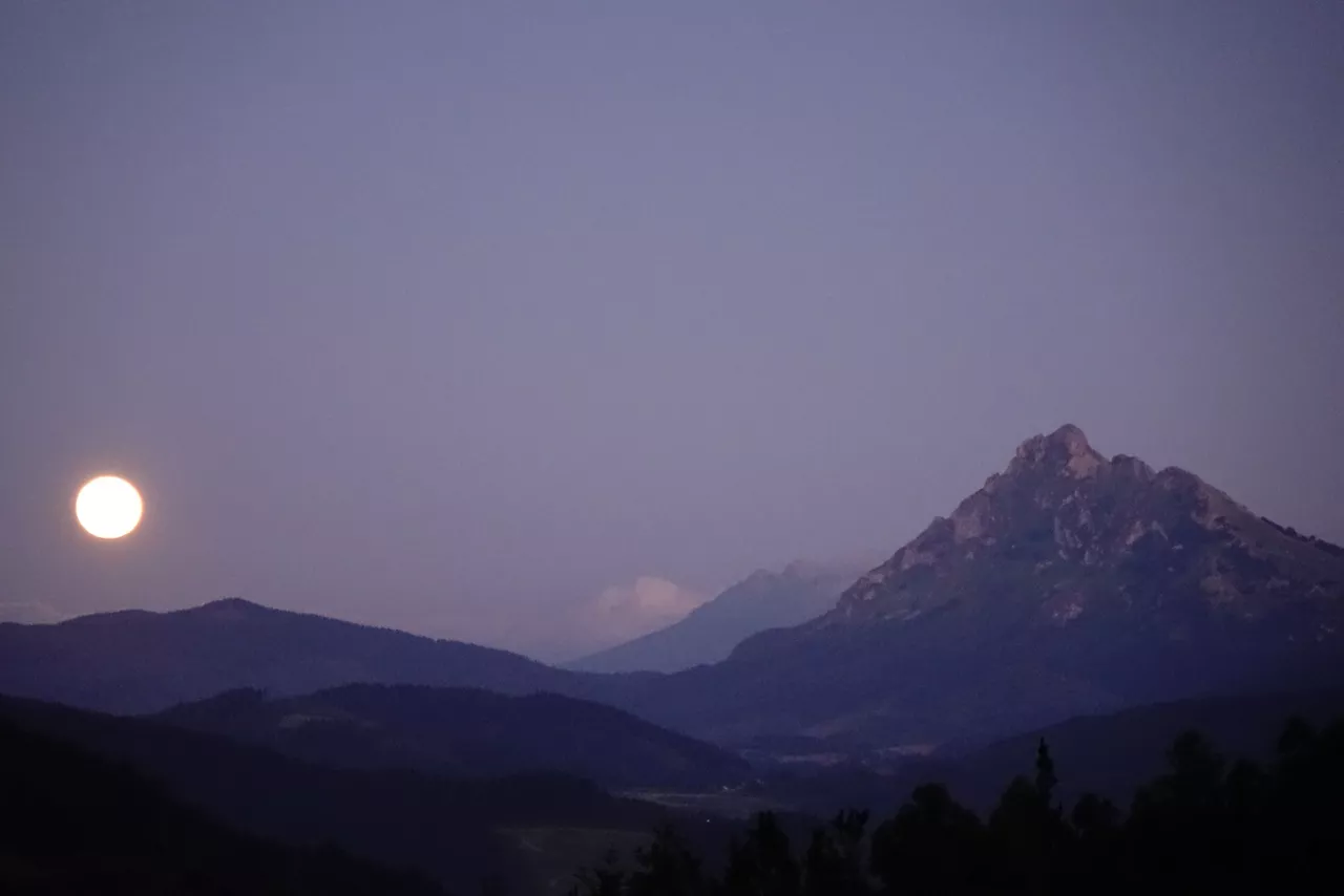 Iurreta (Txaro Ortíz de Zárate)